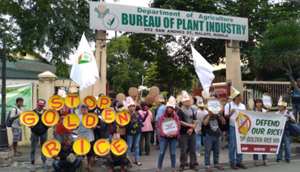 A-demonstration against Golden Rice in Manila