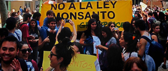 Chile fights GMO and Monsanto law