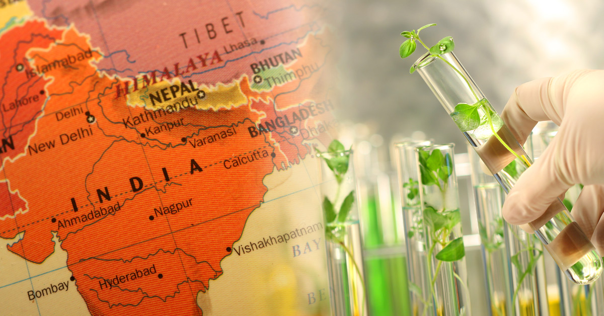 Map of India and gene-edited plants in test tubes