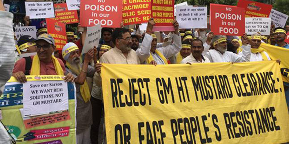 Reject GM mustard protest