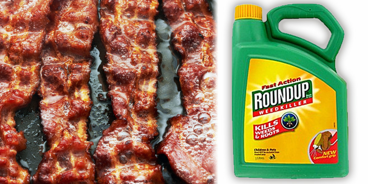 Bacon and Roundup