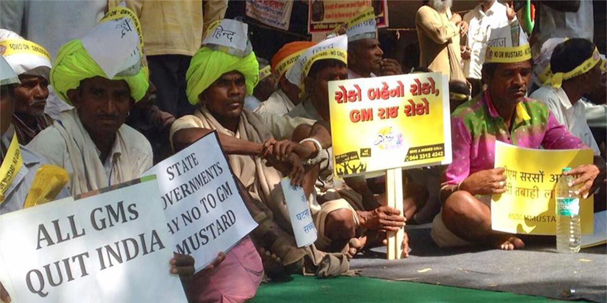 GMO Mustard farmer protest in India