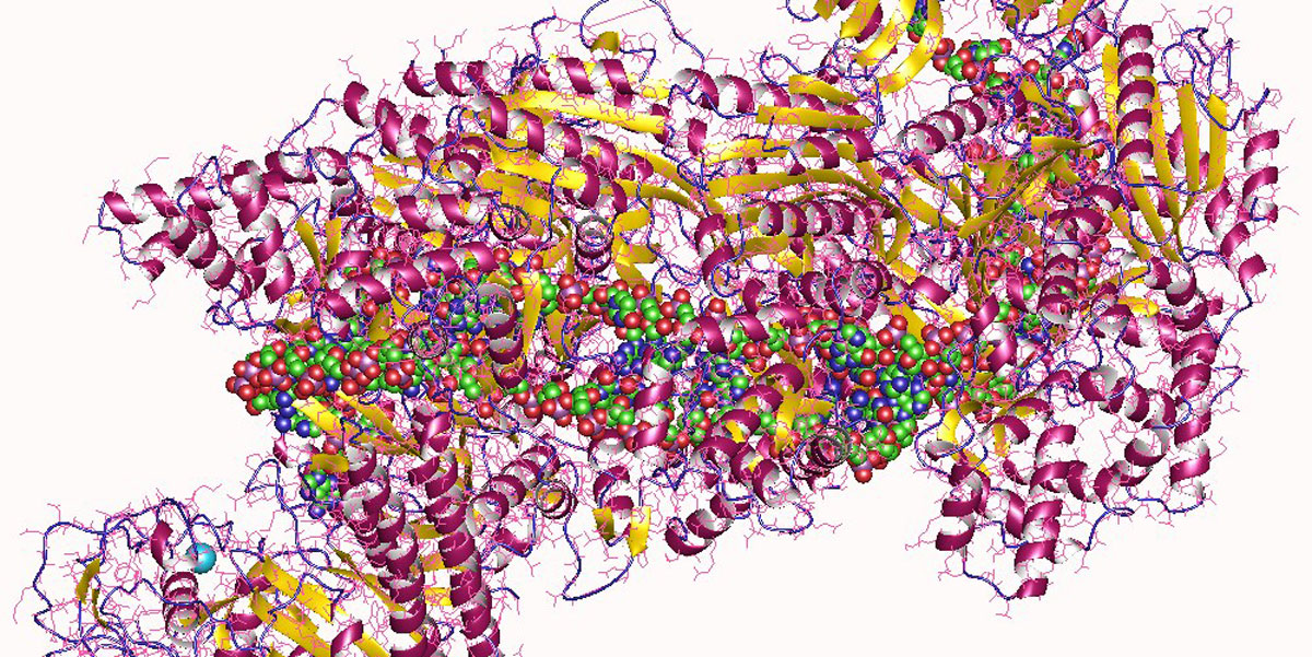 4qyz CRISPR protein EColi