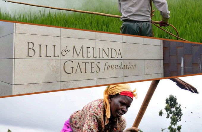Alliance for Science funded by Gates Foundation