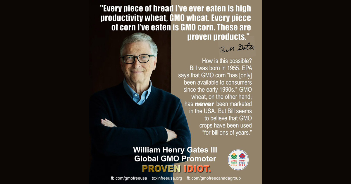 Bill Gates Lies graphic