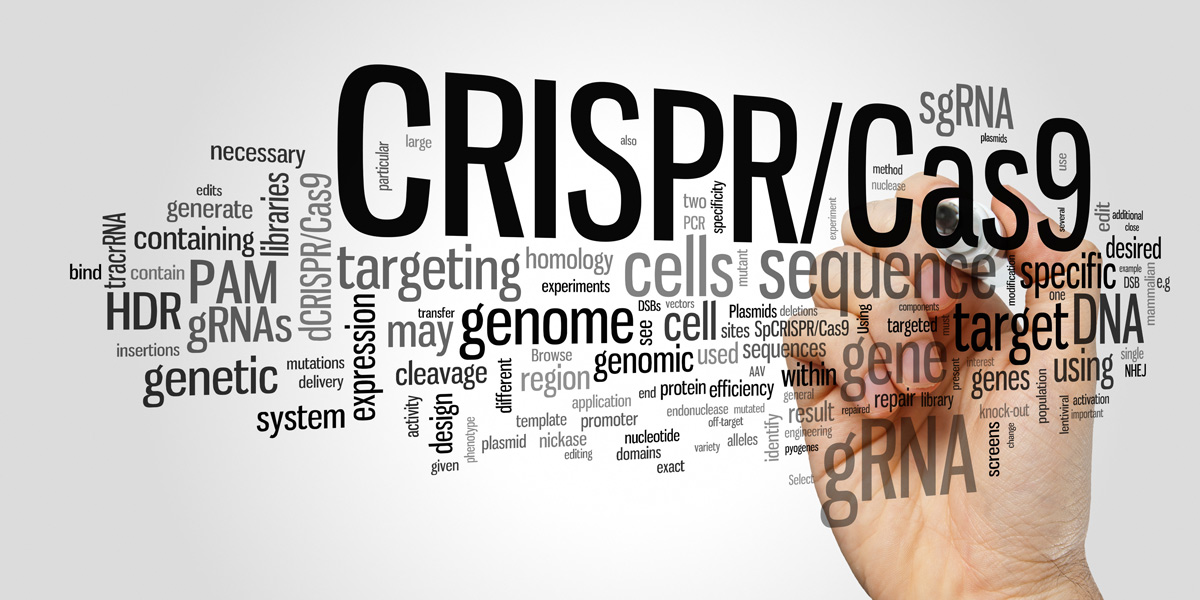CRISPR Cas9 system for gene editing DNA