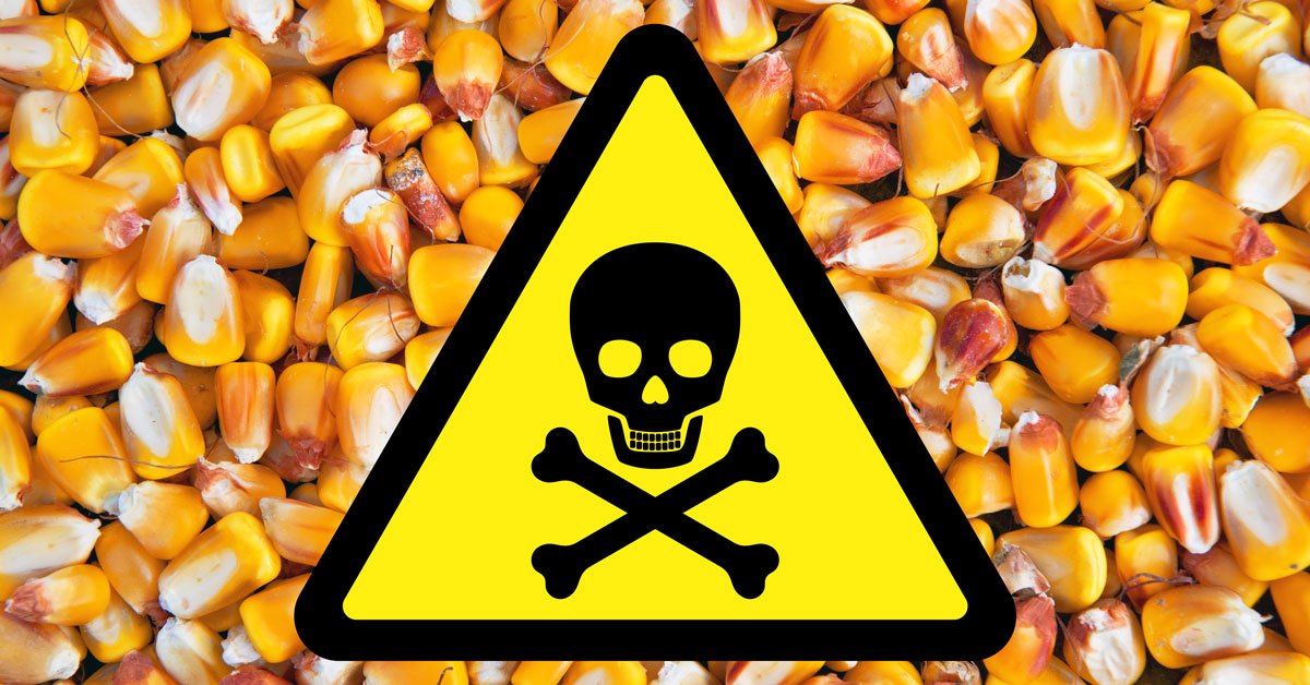 Corn seeds and toxic sign