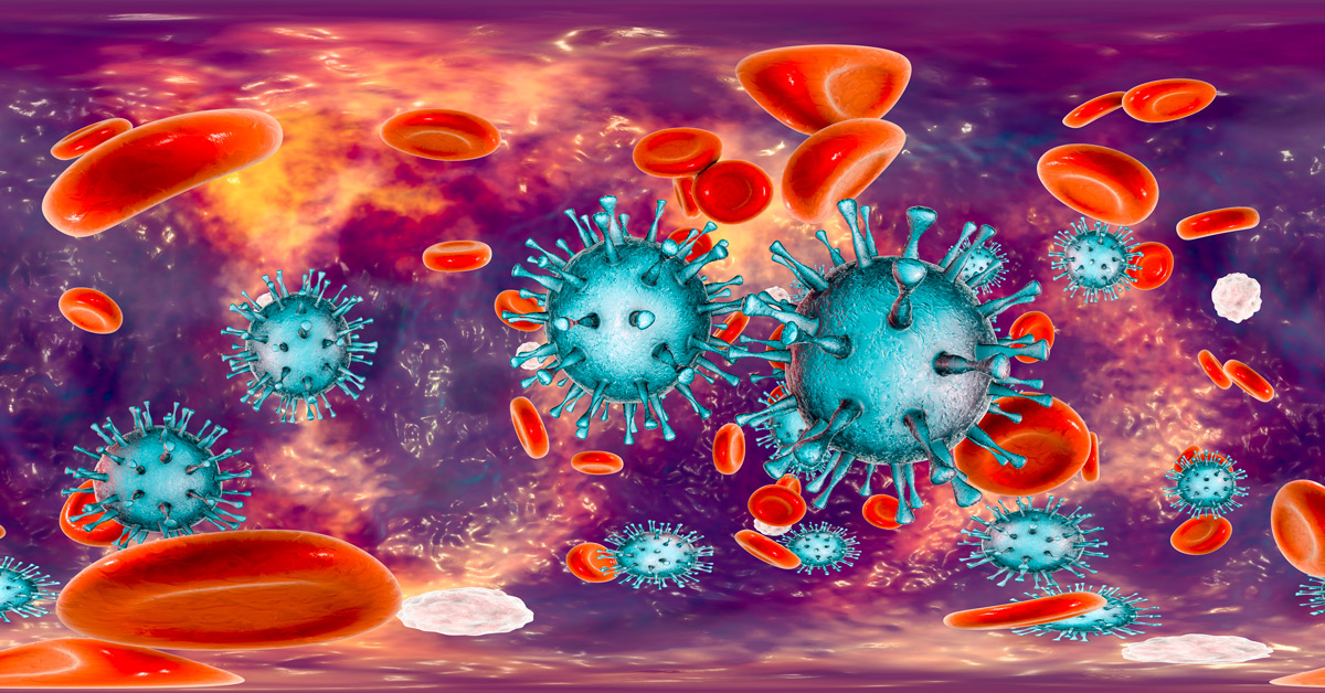 Cytomegalo viruses in the blood