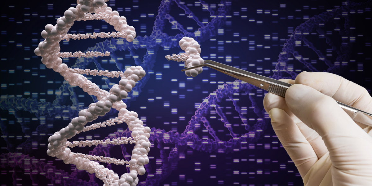 DNA Gene Editing