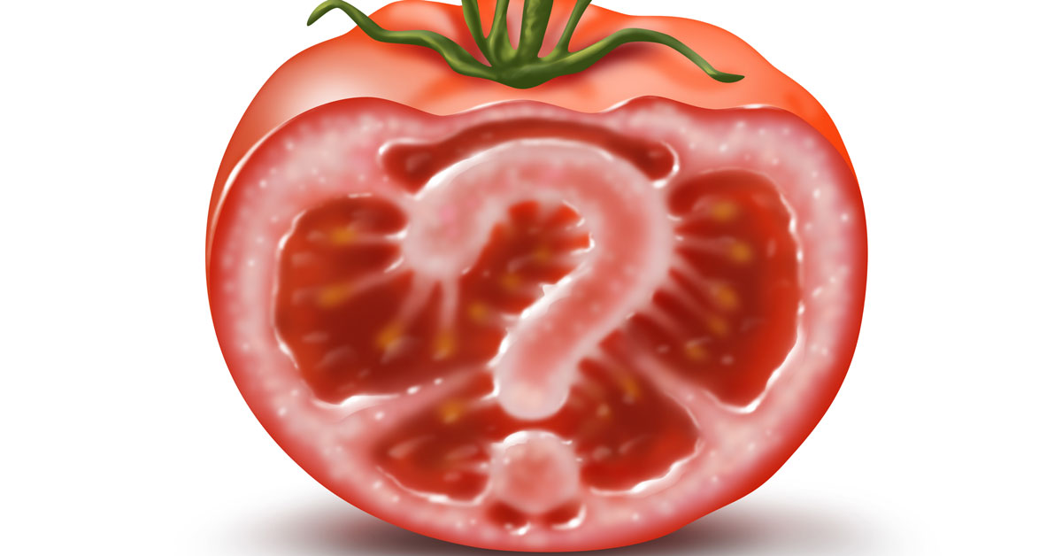 Dodgy Gene Edited Tomato