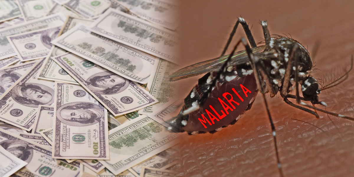 Dollars and Malaria mosquito