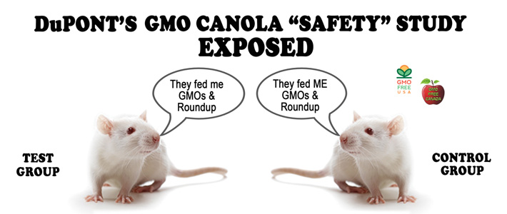 DuPonts GMO Canola safety study exposed