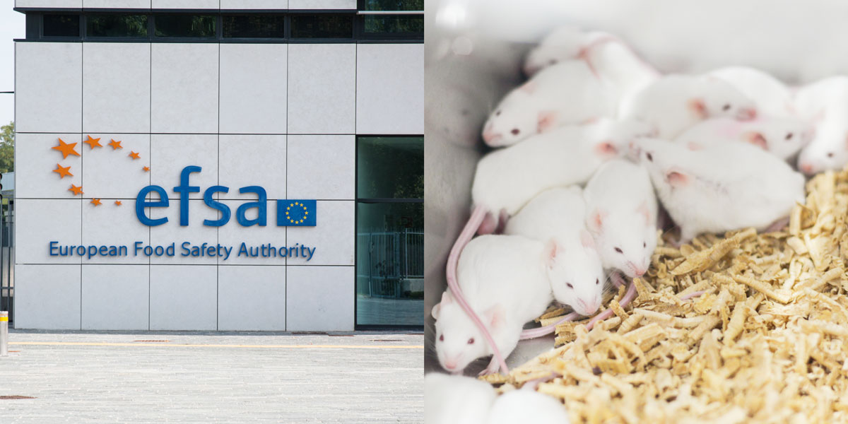 EFSA headquarters and laboratory mice