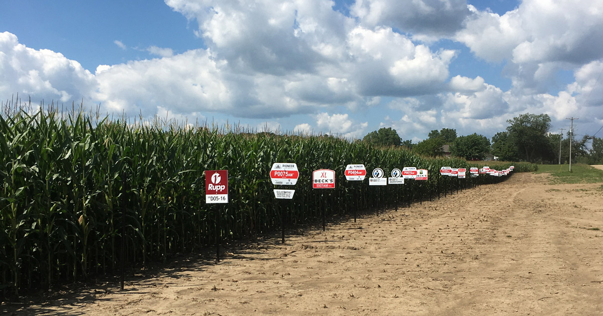 GMO field trials