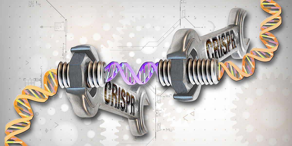 CRISPR-Cas Gene Editing