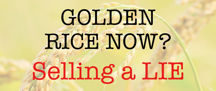 Golden rice now? - selling a lie!
