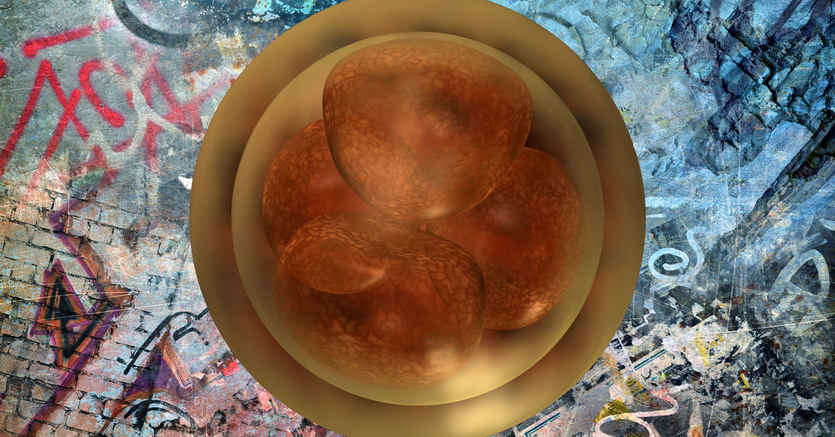 Human embryos against a grungy chaotic background