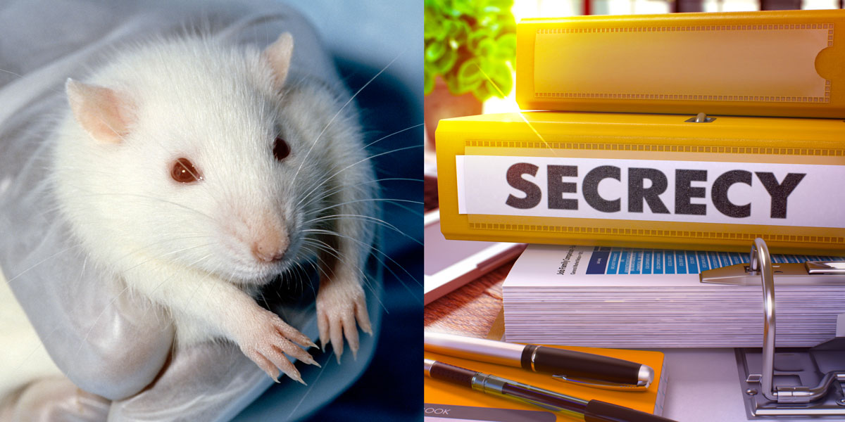 Lab Rat and Secret Toxicity Studies