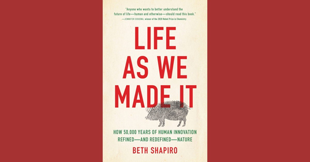 Life as we made it book