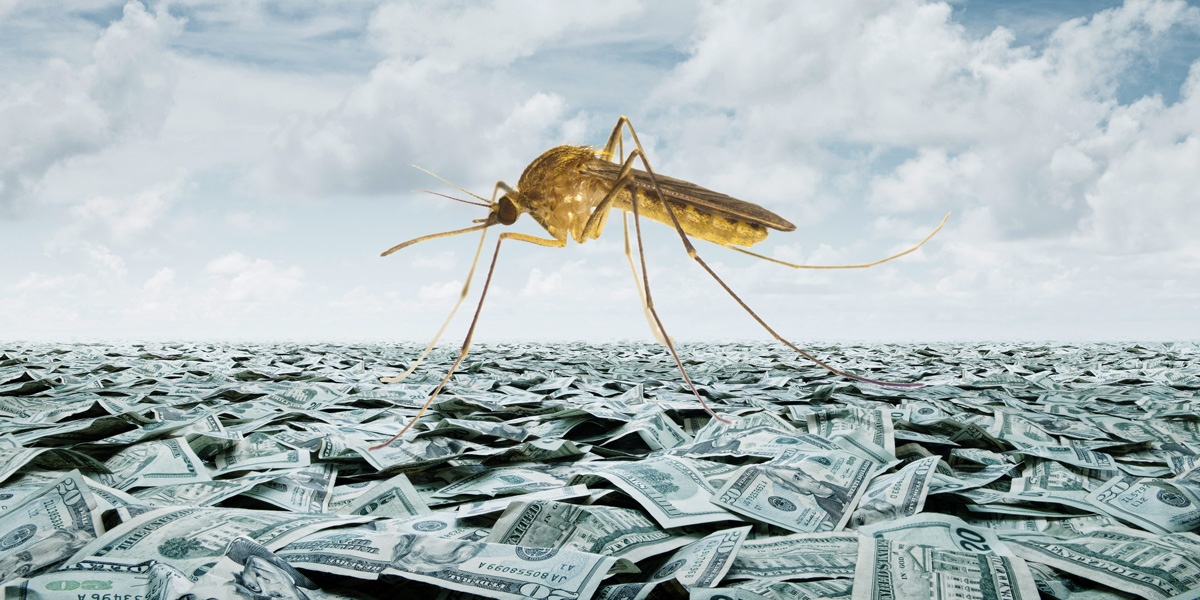 Mosquito on sea of dollars