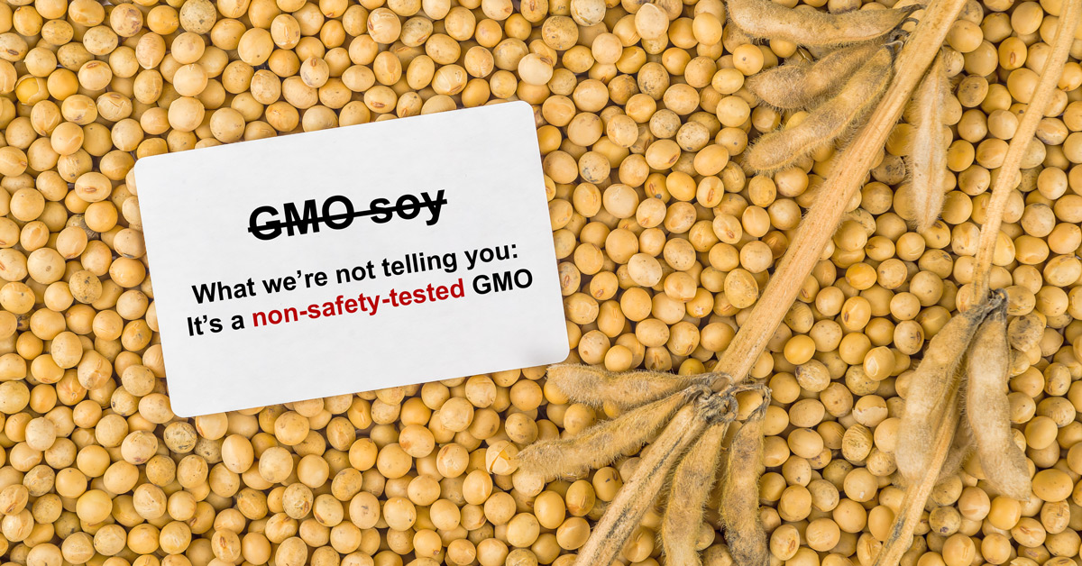 Non-safety-tested GMO soy
