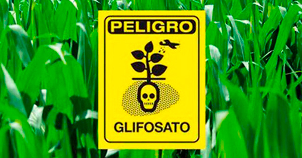 Peligro Gifosato Mexico banner