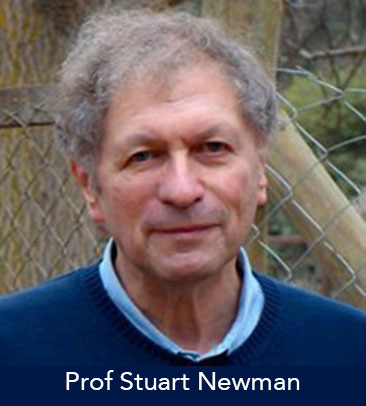 Prof Stuart Newman