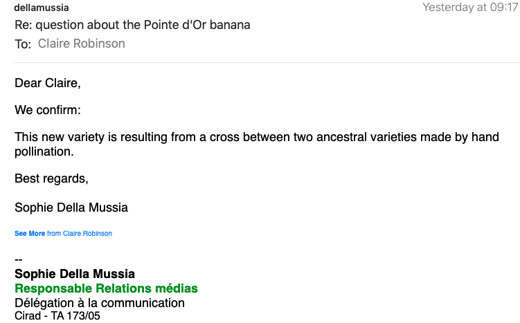 Question about the Pointe dOr banana message