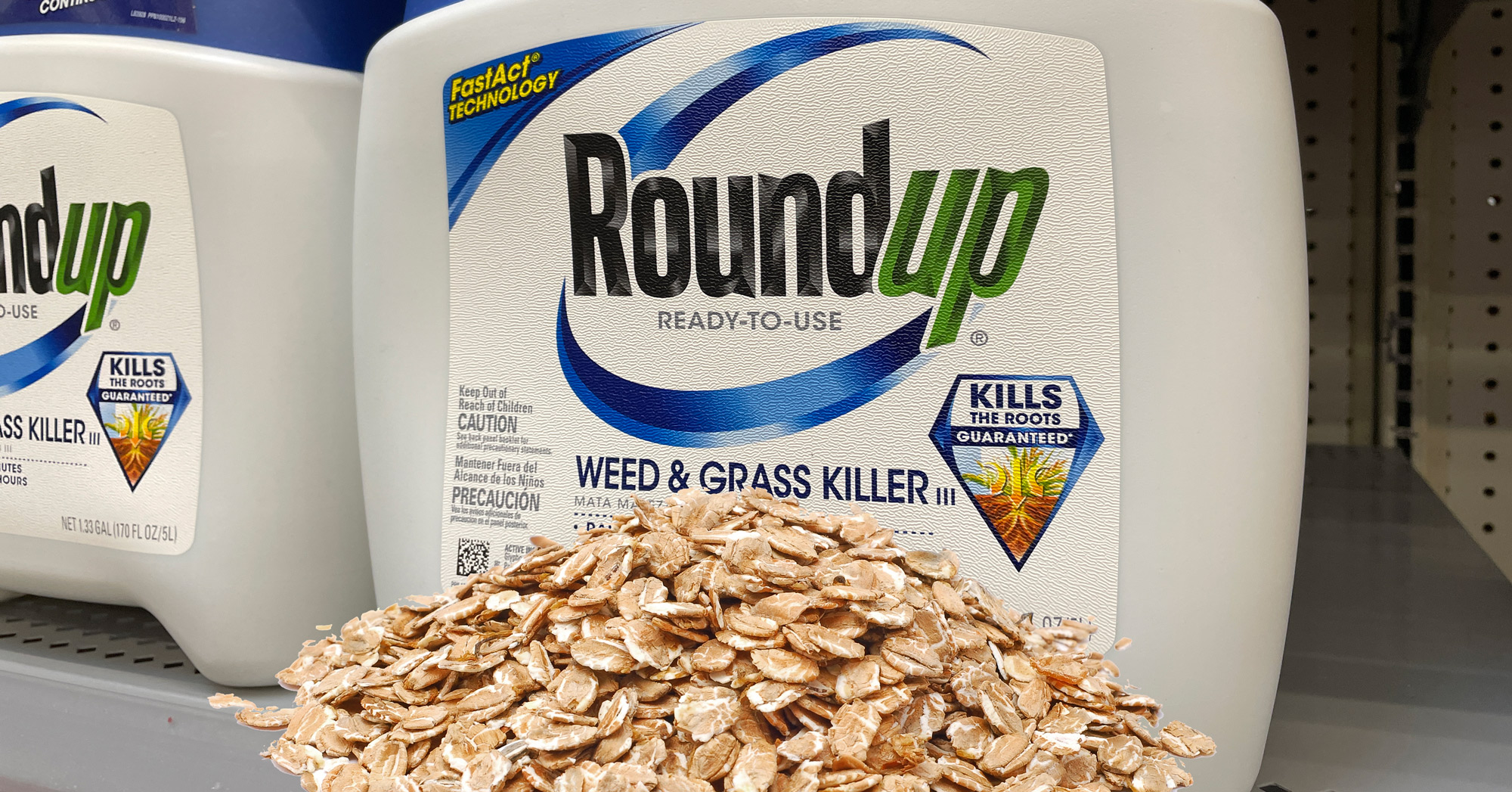 Roundup and oats