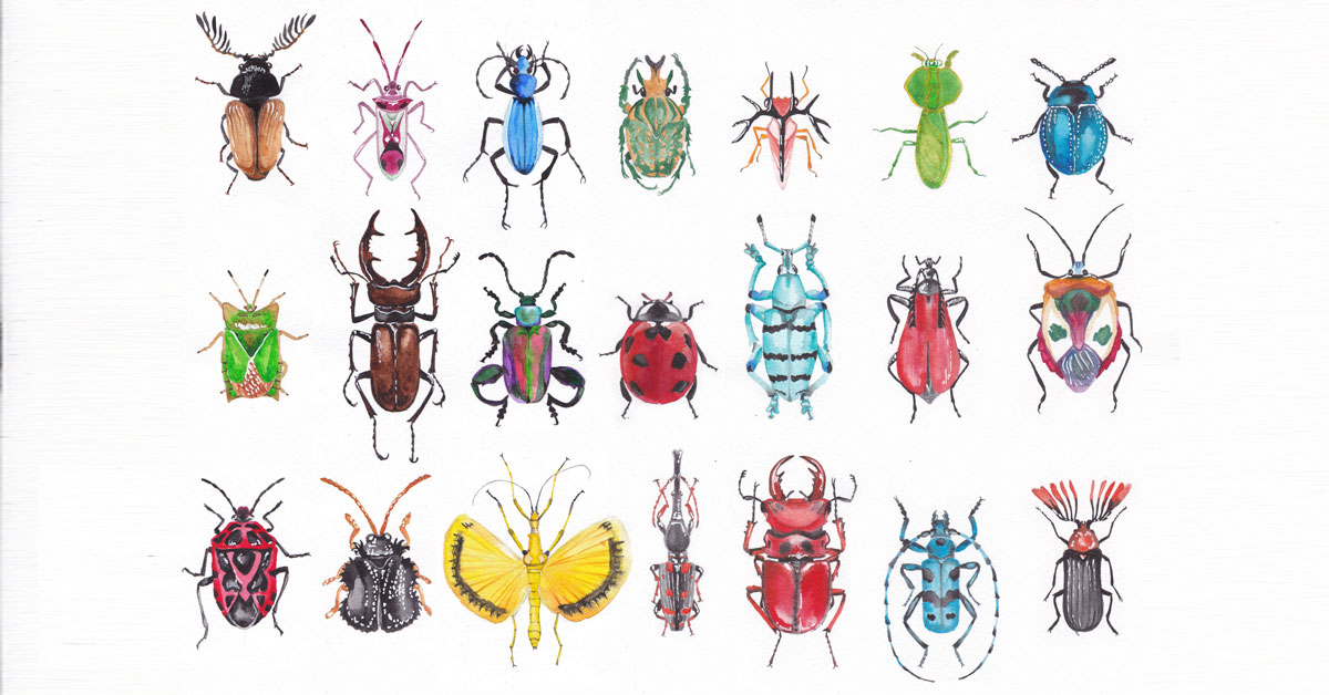 Set of watercolor beetles