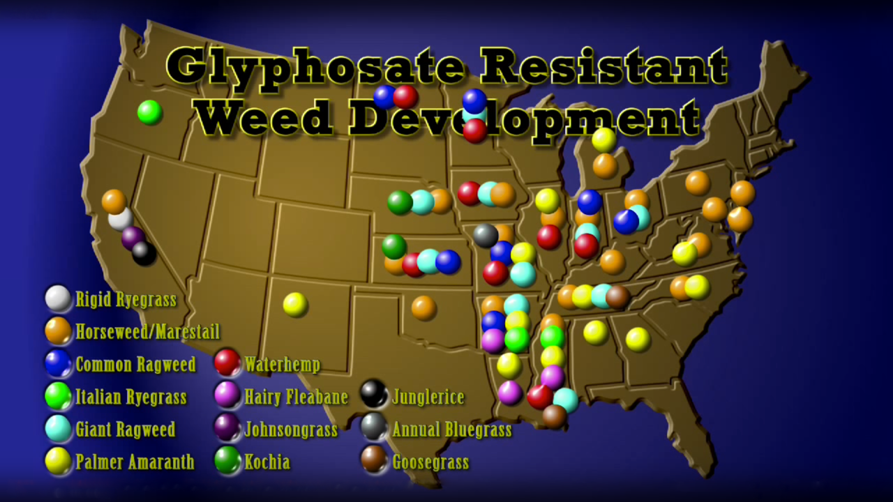 Superweeds: Glyphosate Resistant Weed Development