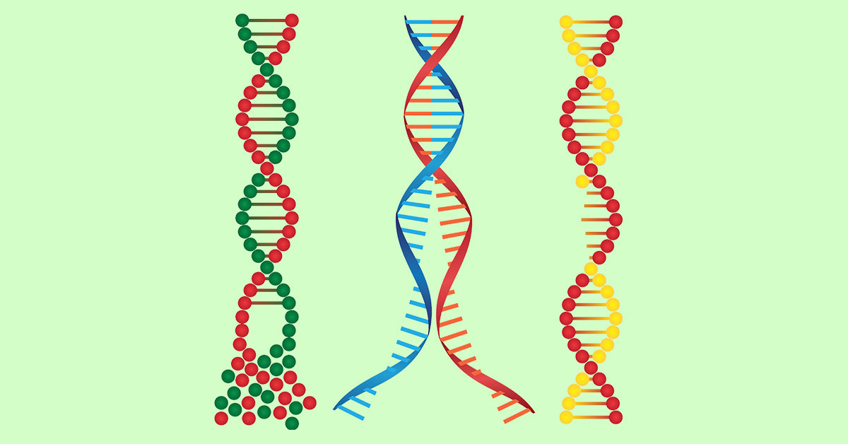 Three damaged DNA strands