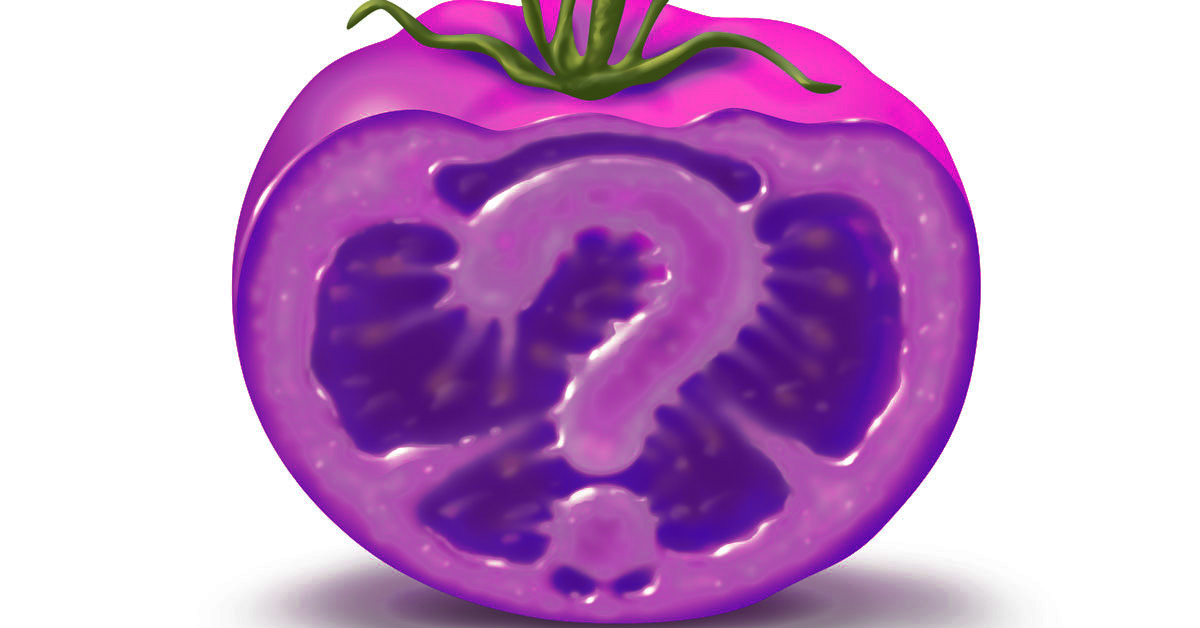 purple tomato]