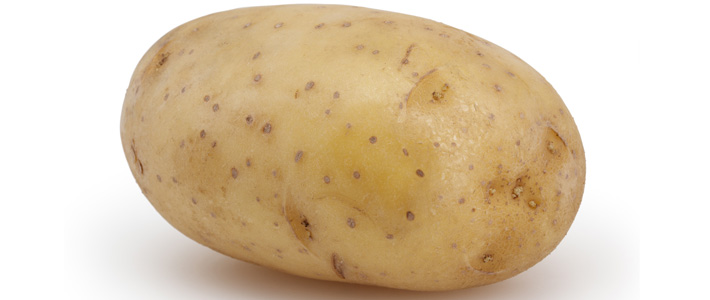 Unwanted GM Potato