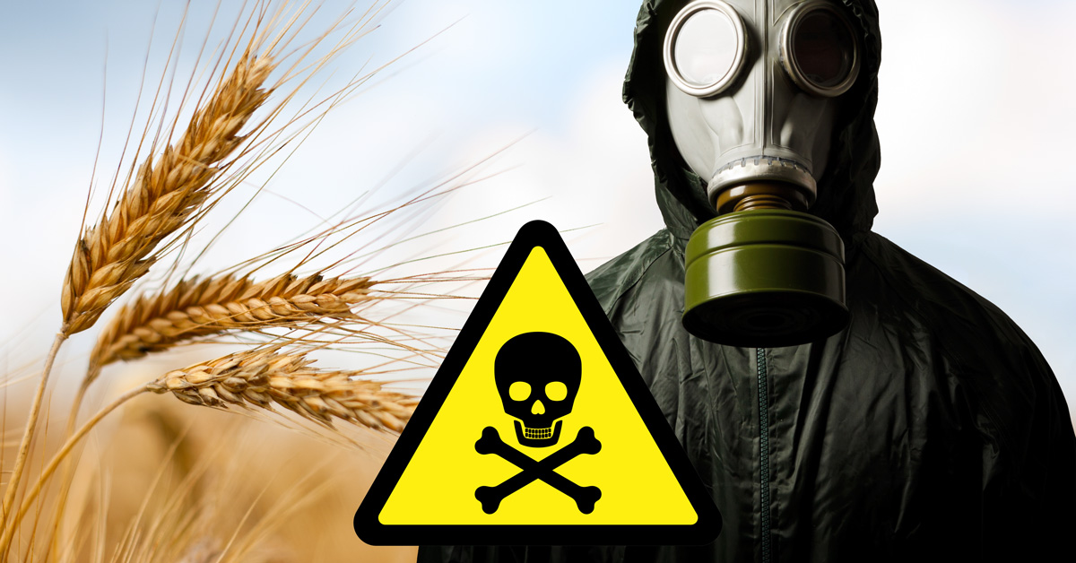 Wheat Ears, Deadly Poison sign, Man in Gasmask