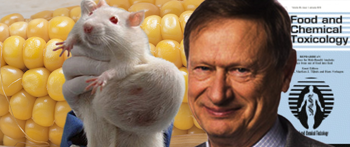 corn-fed tumour rat and A Wallace Hayes