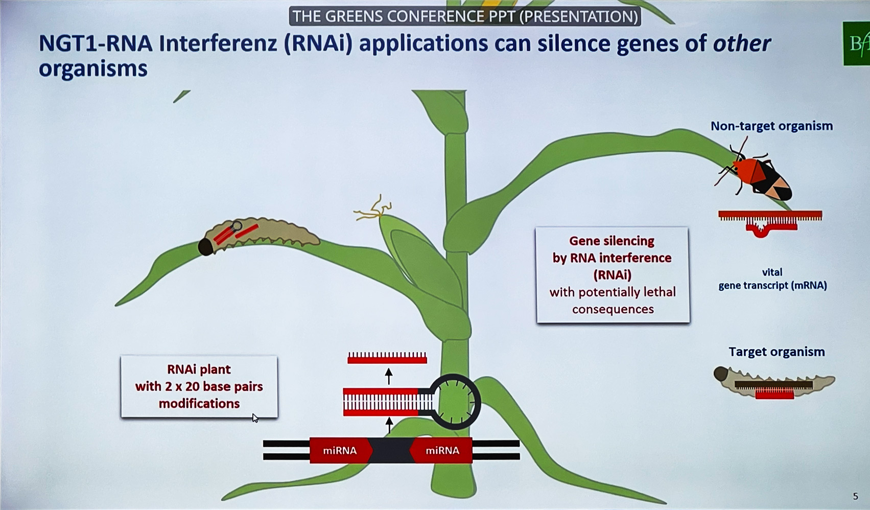 gene silencing RNAi-1