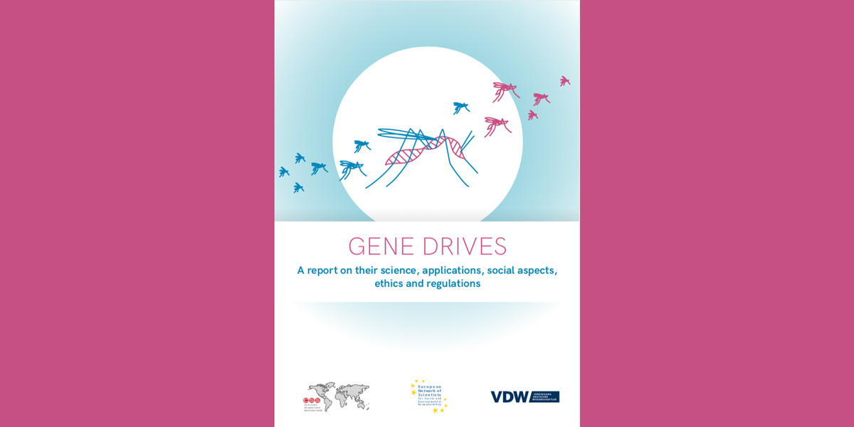 gene drives report