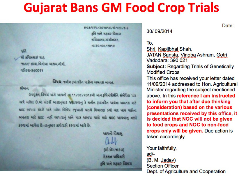 Gujarat bans GM trials