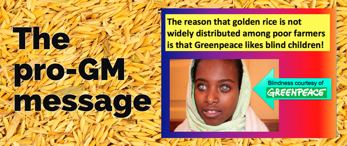 pro-gm golden rice message