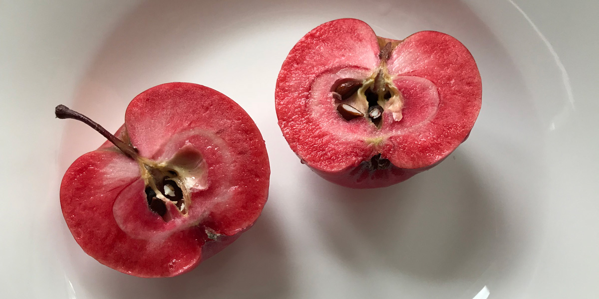 Red-fleshed apples, CRISPR, and shameless hype