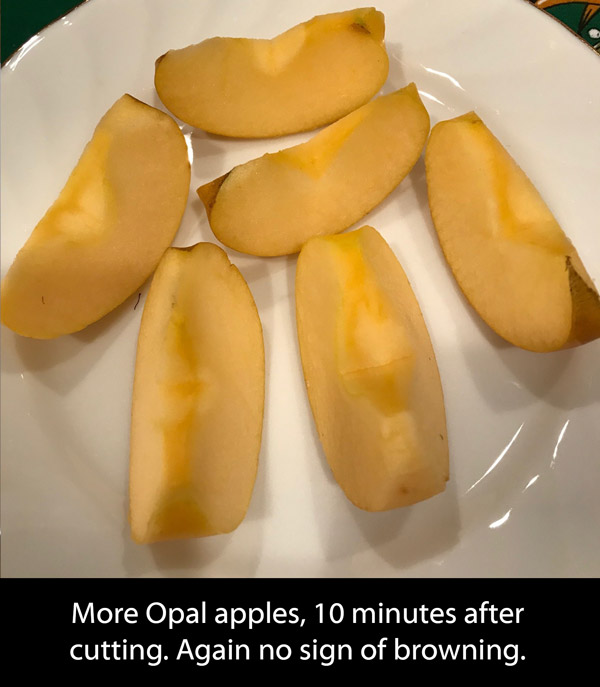Opal apple 10 mins after cutting